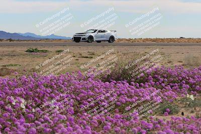 media/Jan-08-2023-SCCA SD (Sun) [[8f6a5b9391]]/Advanced Group/Session 2 (Short Straight)/